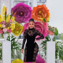 Load image into Gallery viewer, Black Mesh Long Sleeve Amaris (Midi Dress)-Kasheer Royalty