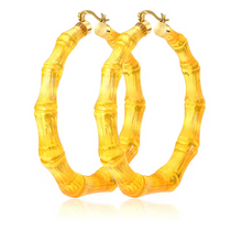 Load image into Gallery viewer, Bamboo Acrylic earrings
