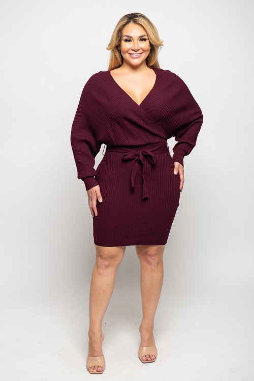 Narai Sweater Dress (Plus Size)